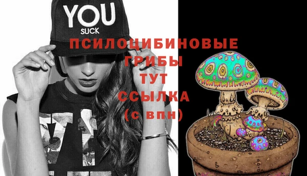 ECSTASY Вязьма
