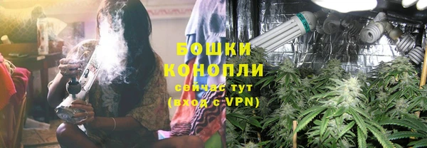 молекула духа Вязники