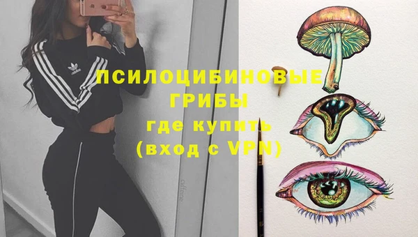 не бодяженный Вяземский